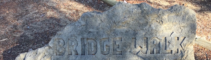 bridgewalk